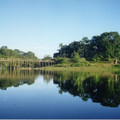 pousada-amazonia_415004335_o.jpg