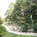 mexican garden.jpg